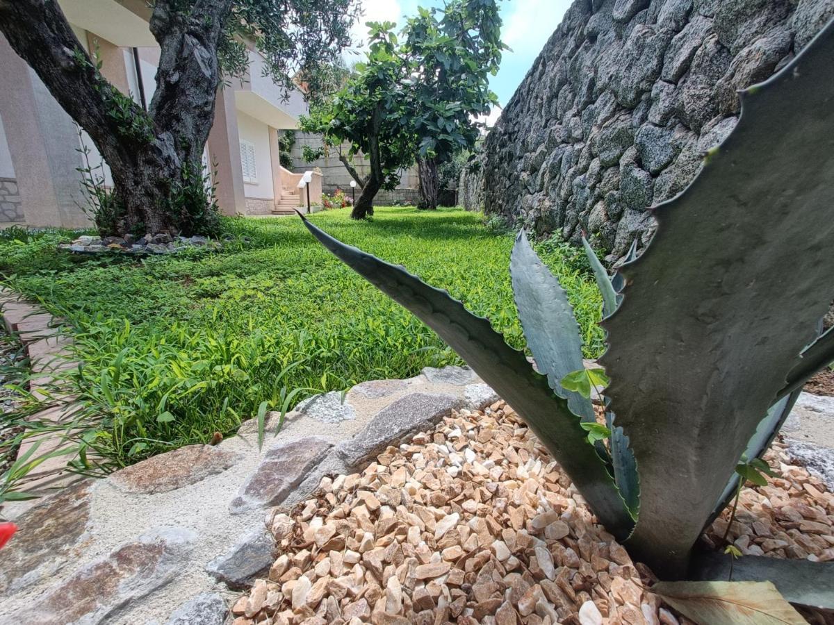 ריקאדי B&B Villa Orchidea מראה חיצוני תמונה